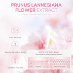 Sakura skin care sets with cleanser, serum, eye cream, facial cream, sunscreen beauty products for women, travel skin care kit