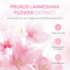 4pcs/Bag Sakura Skin Care Sets Facial Cleanser Face Face Toner Sunscreen Moisturizing Smoothing Nourishing Skincare Product