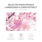 SPF50 Sun Cream Sakura Face & Body Sunscreen 1.06oz Natural Moisturizing Water Resistant Skin Sun Protection Protects Calms